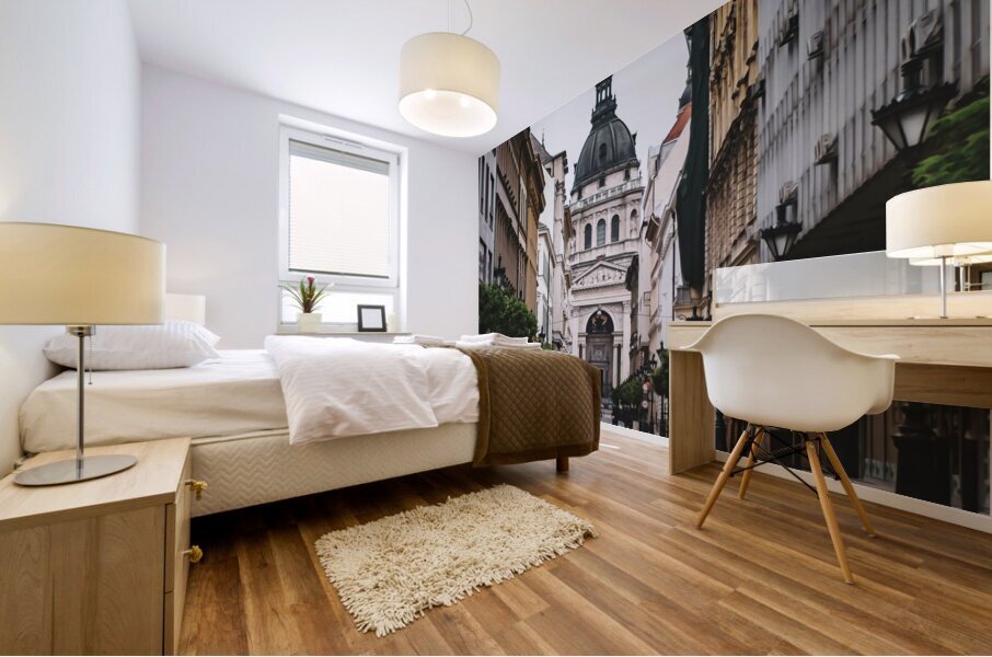 Budapest Hungary14 Mural print