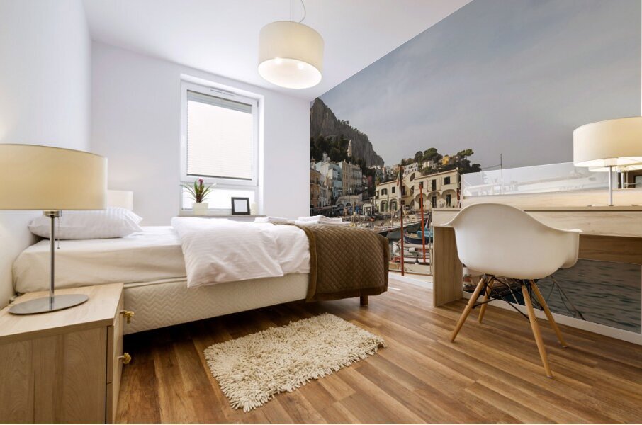 Capri Italy7 Mural print
