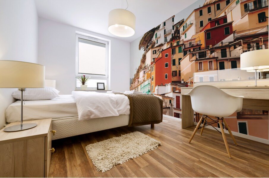 Cinque Terre Italy5 Mural print