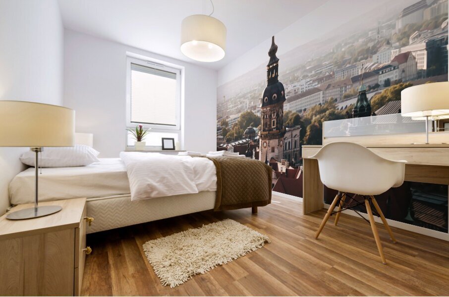 Dresden Germany4 Mural print