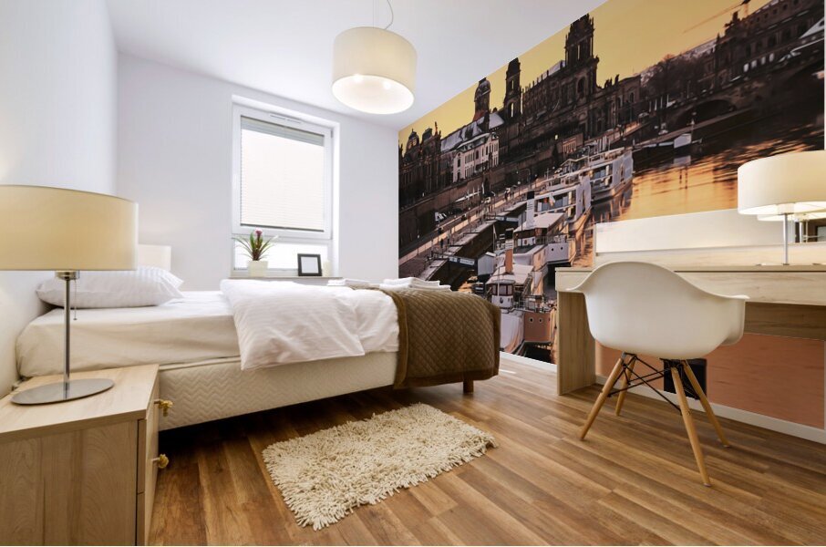 Dresden Germany6 Mural print