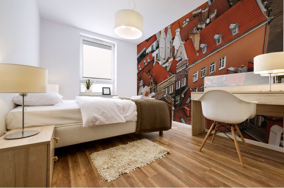 Gdansk Poland7 Mural print