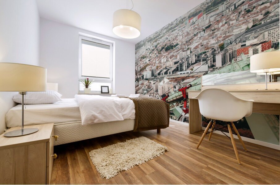 Grenoble France Mural print