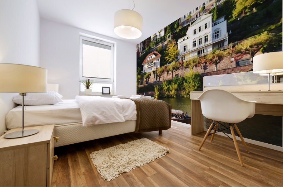 Heidelberg Germany Mural print