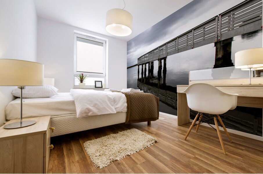 South Carolina Low Country Dock Reflection Mural print