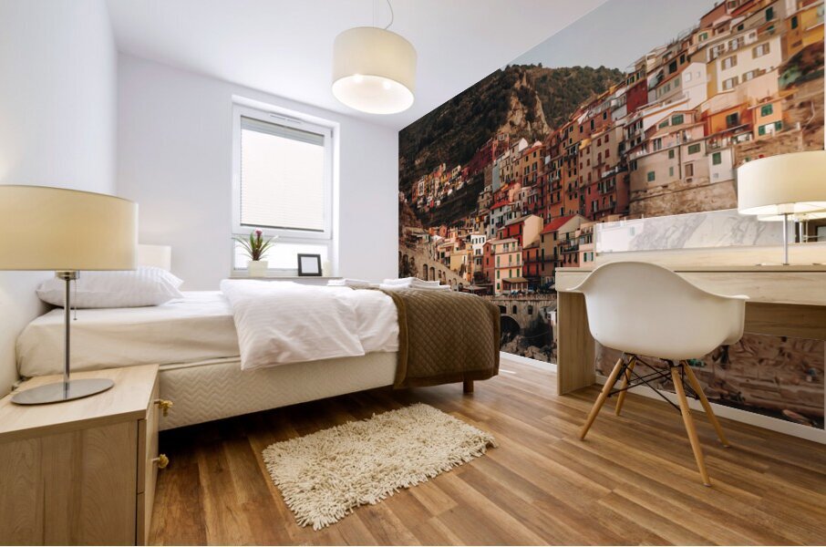 Manarola Italy7 Mural print
