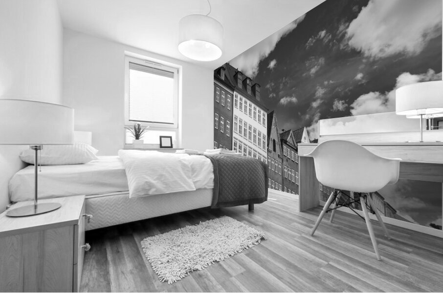 Houses Close By in Denmark B&W Mural print