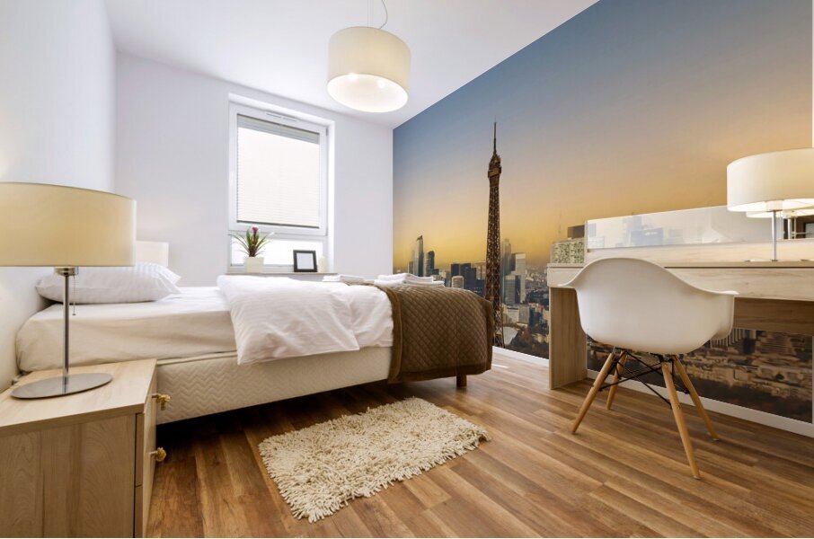 Paris France26 Mural print
