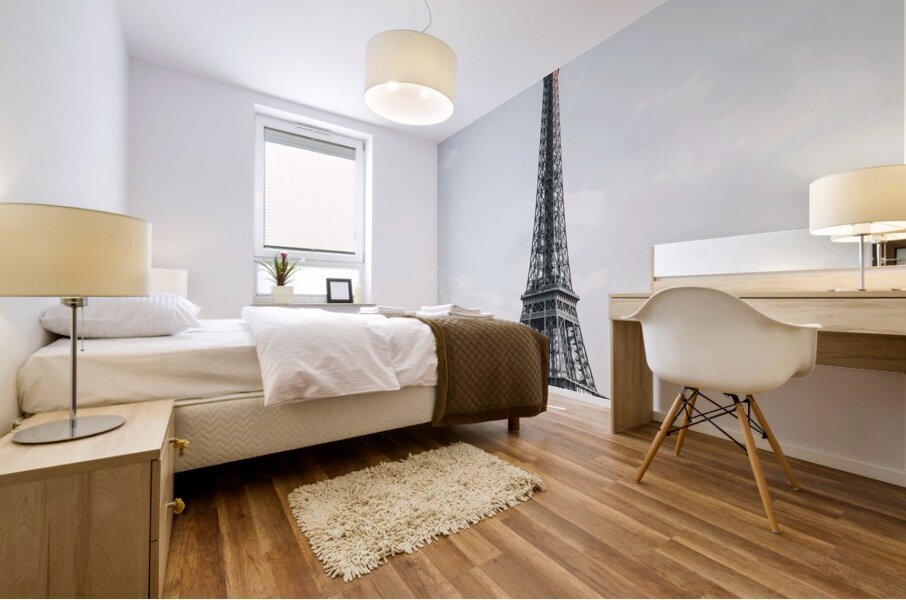 Paris France25 Mural print