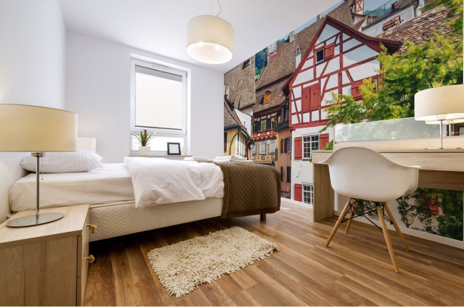 Schaffhausen Switzerland2 Mural print