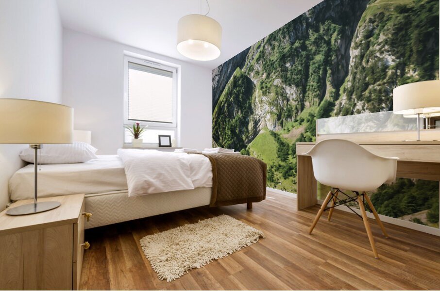 Switzerland6 Mural print