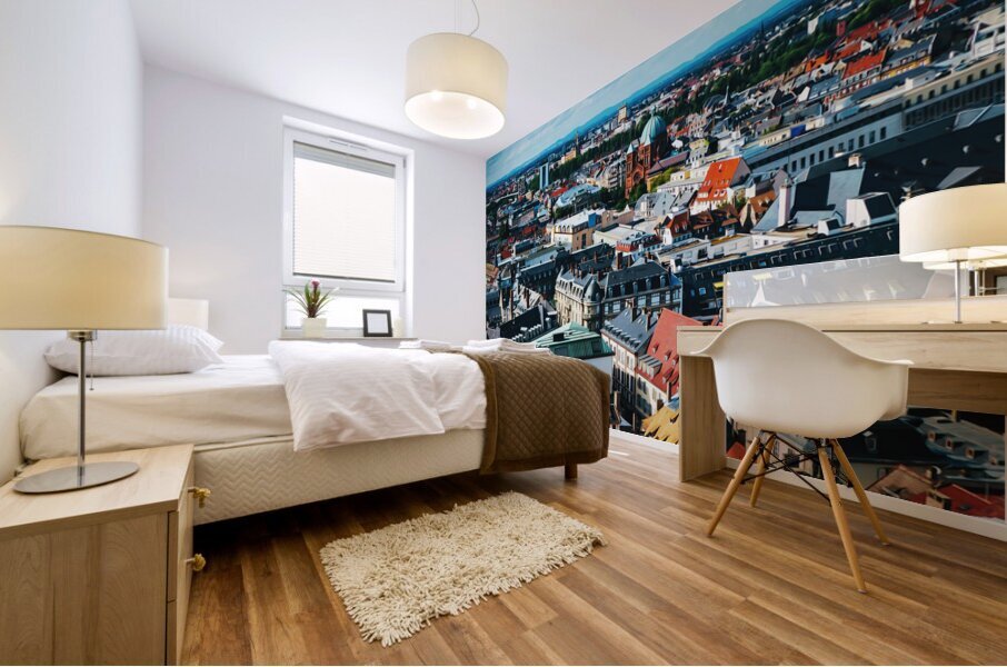 Strasbourg France3 Mural print