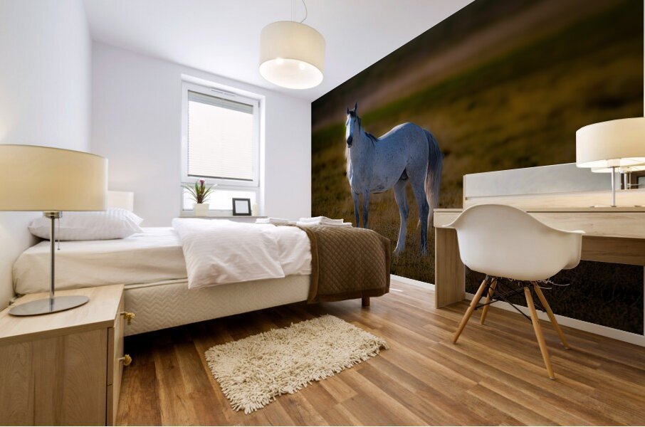 BZ9 5294 Enhanced NR Mural print