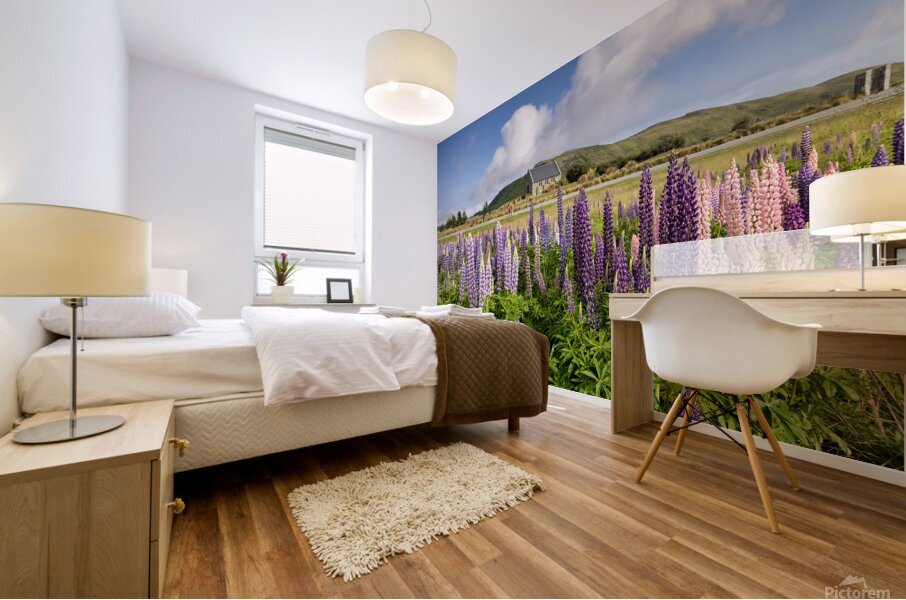 Lupins and Church of the Good Shepherd Tekapo New Zealand Mural print
