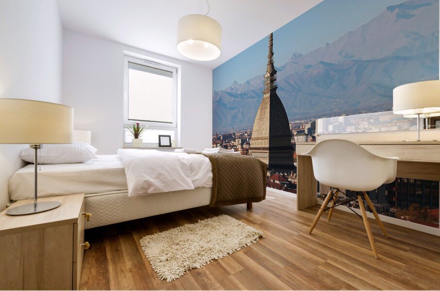 Turin Italy2 Mural print