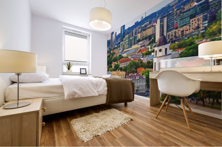Vilnius Lithuania4 Mural print