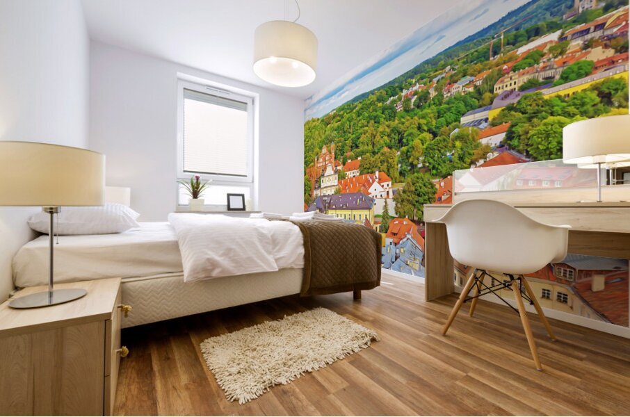 Vilnius Lithuania2 Mural print