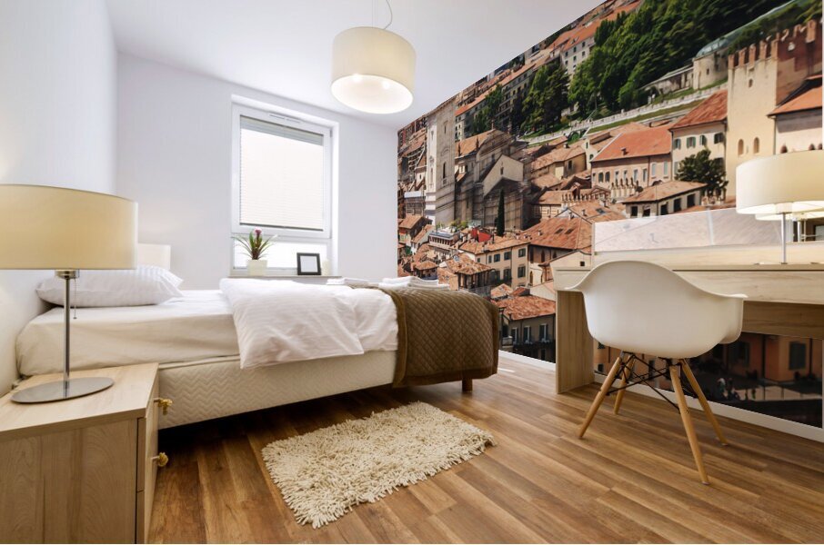 Verona Italy14 Mural print