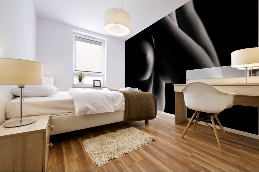 Nude Study No11 Mural print