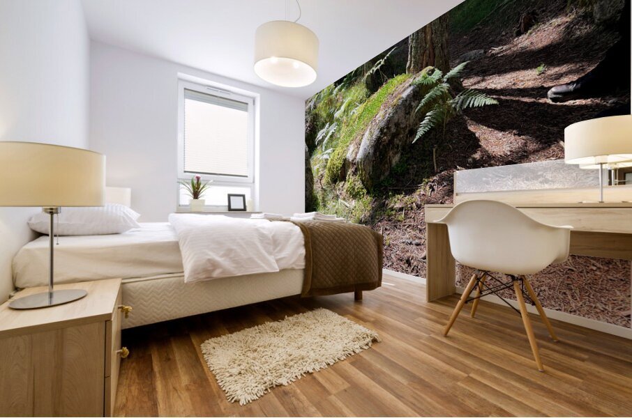 Scenes from the Trail - Sunlight Forest Trail  Mural print