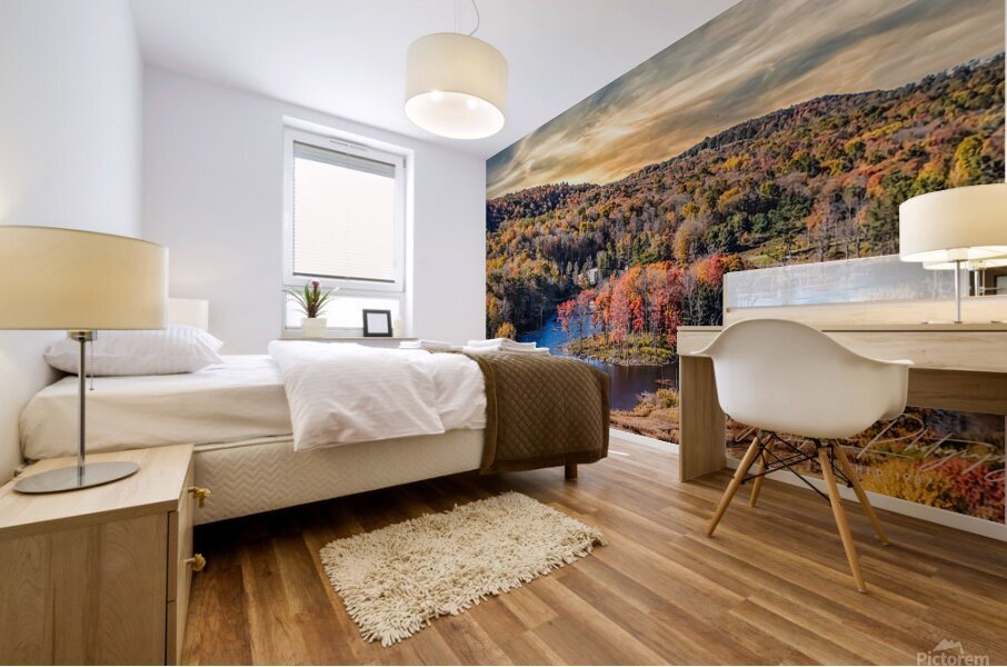 West Danby ponds Mural print