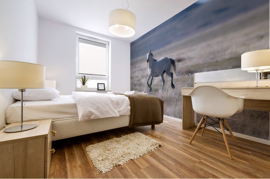 BZ9 5254 Enhanced NR Mural print