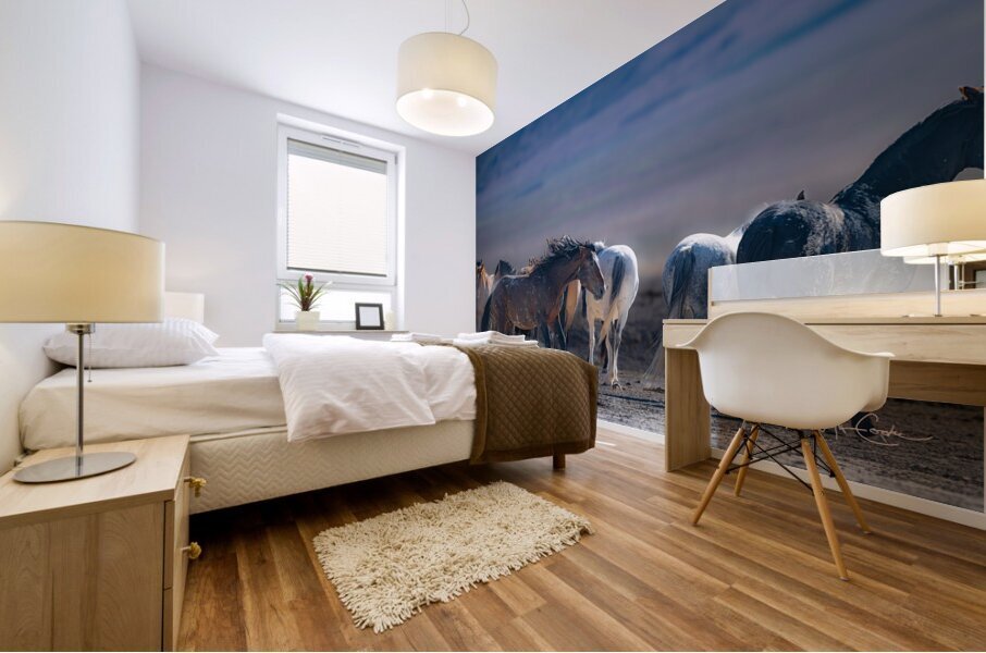 BZ9 5657 Enhanced NR Mural print