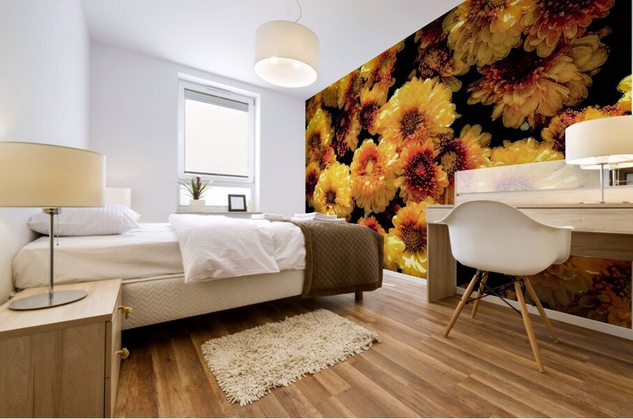 Mums the Word Chrysanthemum X101 Mural print