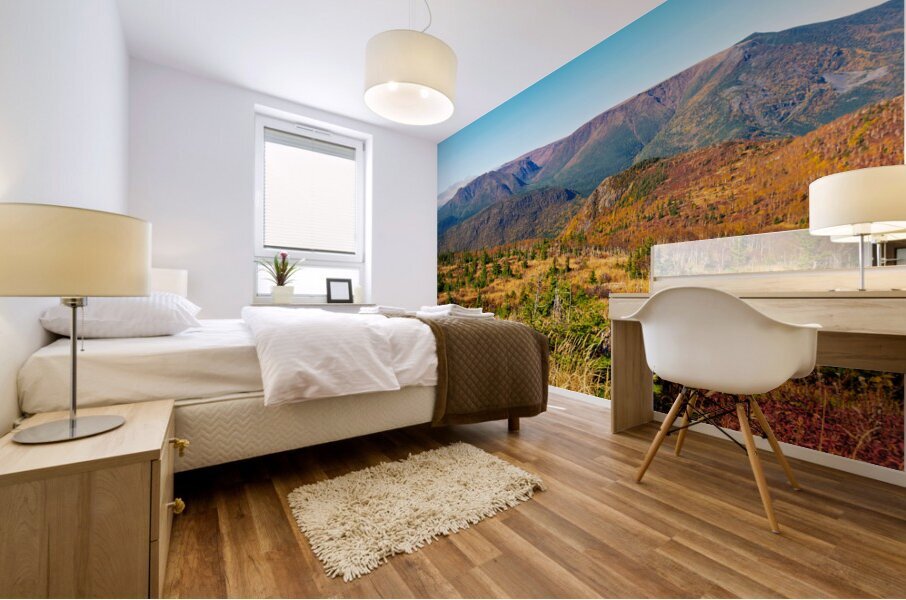 Mont Albert Mural print