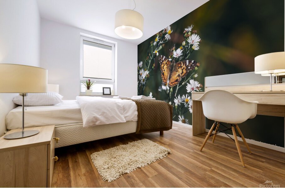 Beautiful American Lady on Aster Mural print