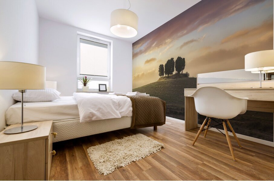Cypress grove in Tuscany Mural print