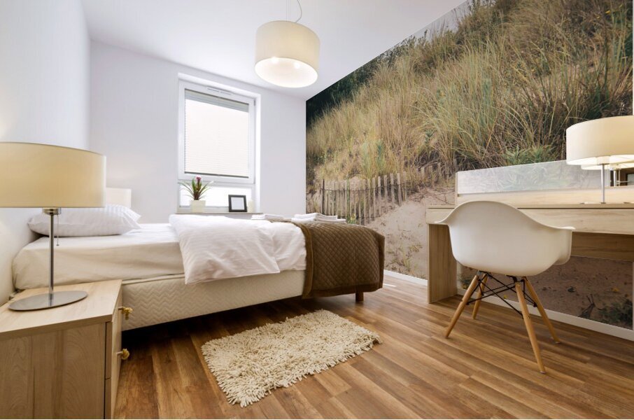 Buried Sand Fencing Mural print