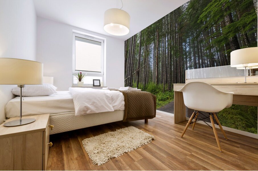 gDAV 8346 Mural print