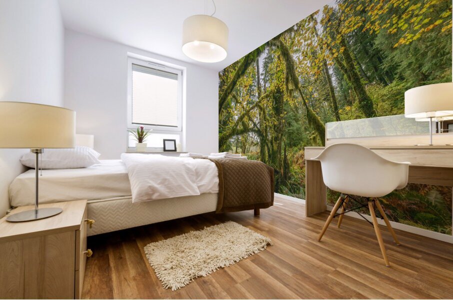 gDAV 8573 Mural print