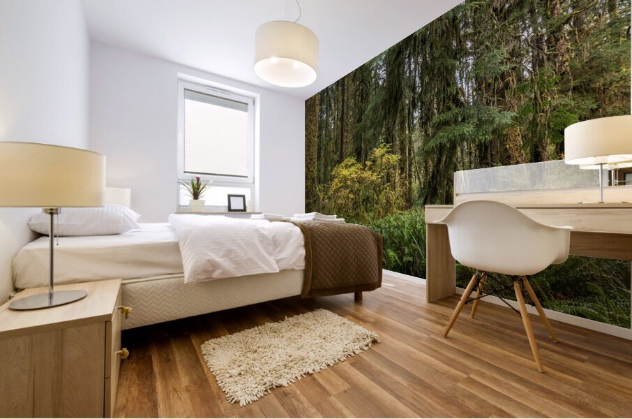 gDAV 8240 Mural print