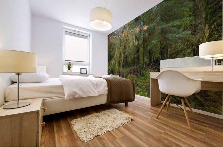 gDAV 8560 Mural print