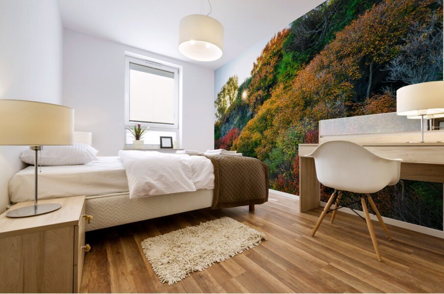 Aurore Mural print