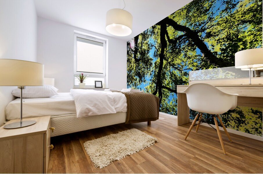 Birch Tree Canopy in Intelligent Art Mural print