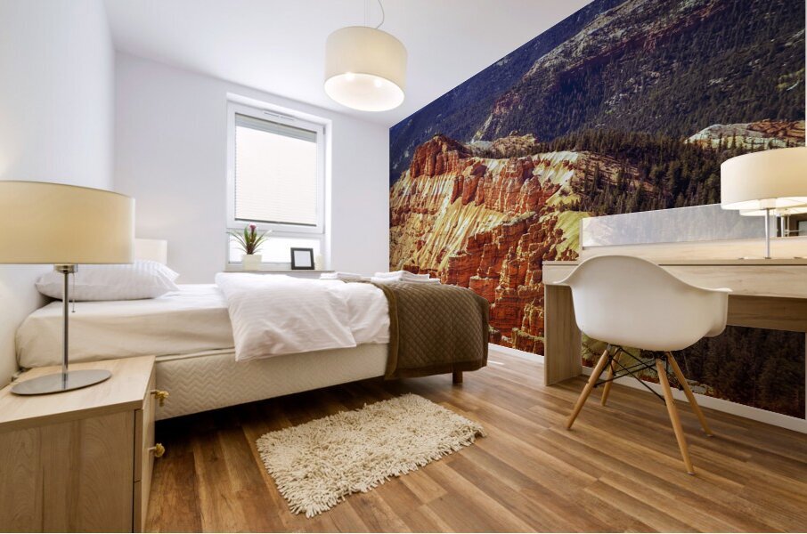 Cedar Breaks Utah X100 Mural print