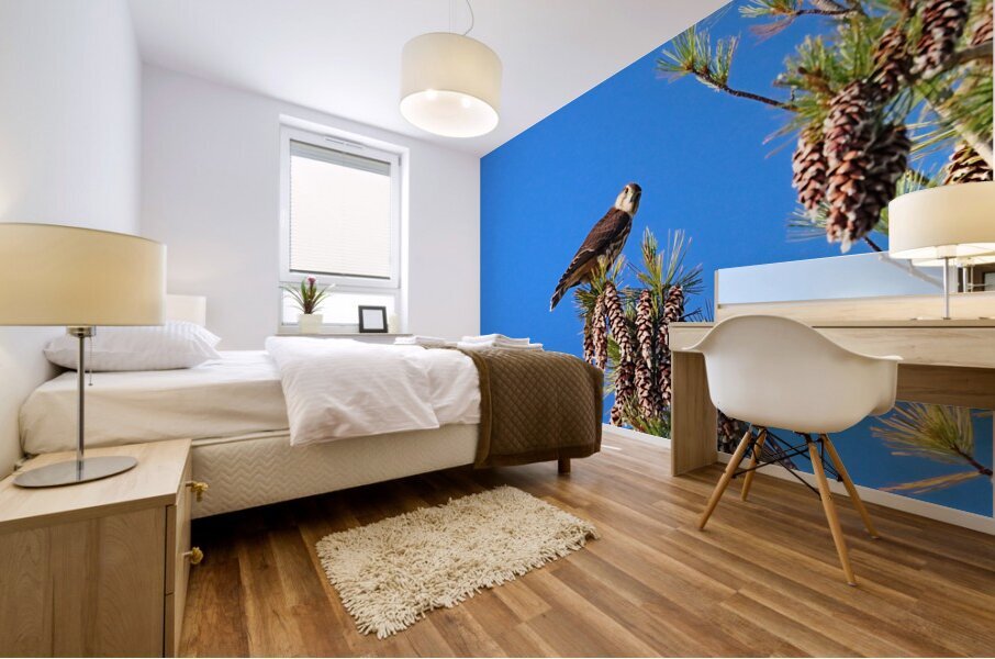 Merlin And Pine Cones II Mural print