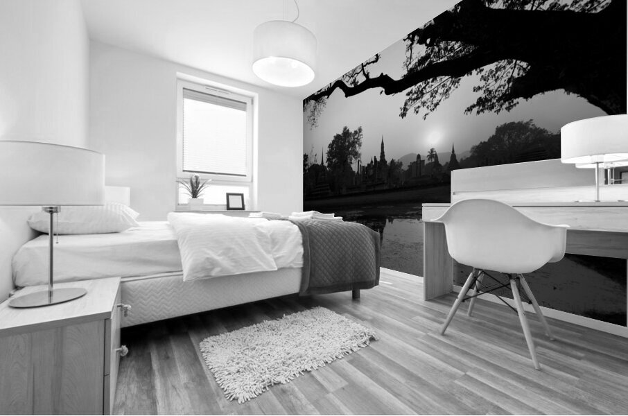 BW PRINT COLLECTION027 Mural print