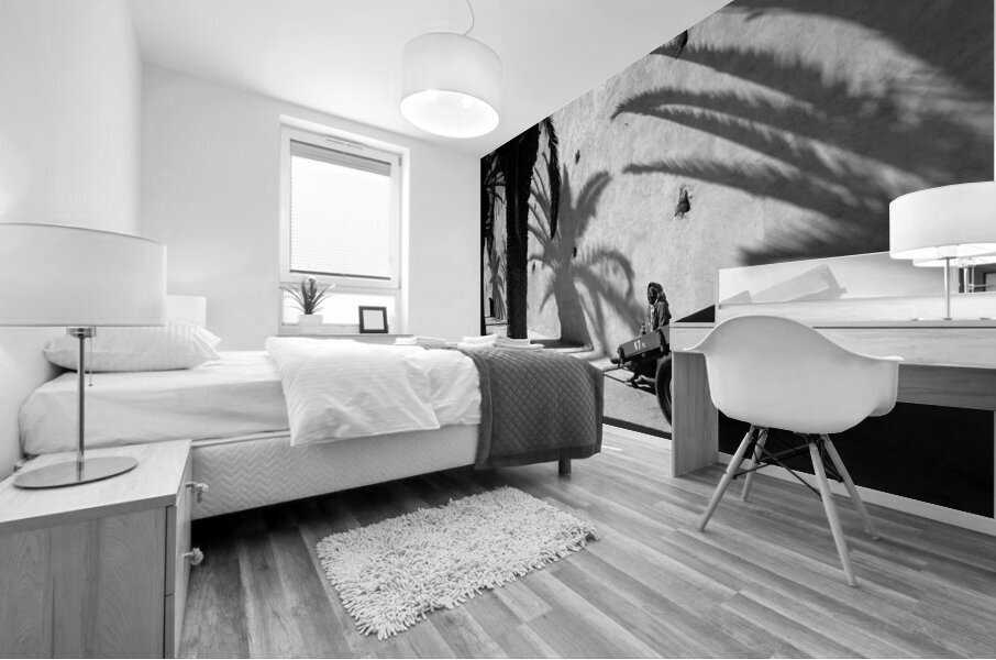 BW PRINT COLLECTION039 Mural print