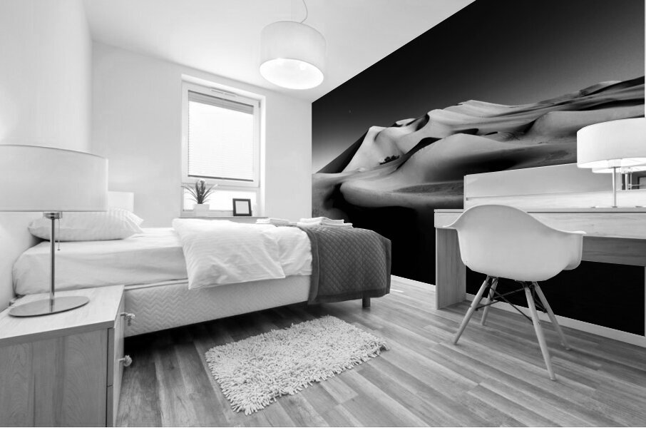 BW PRINT COLLECTION002 Mural print