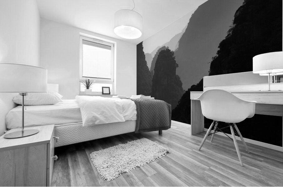 BW PRINT COLLECTION124 Mural print