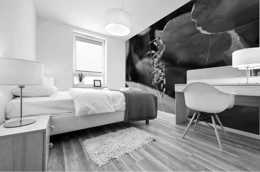 A Spider and its Web B&W Mural print