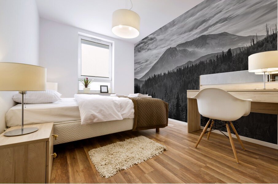 gcwbwDAV 4240 Mural print