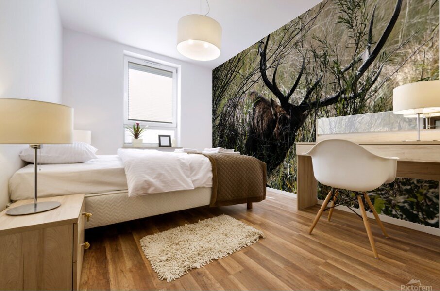 Estes Park Bull Elk  Mural print