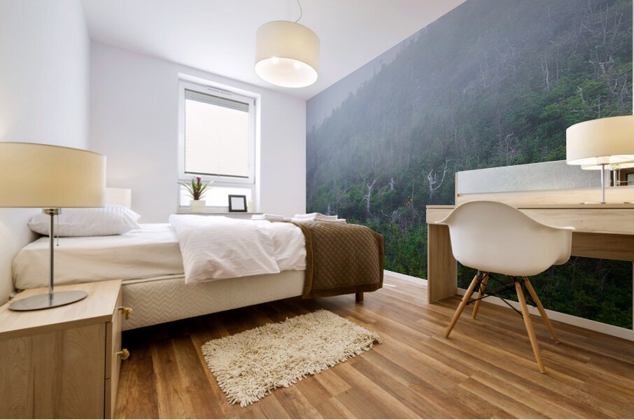 Brume Mural print