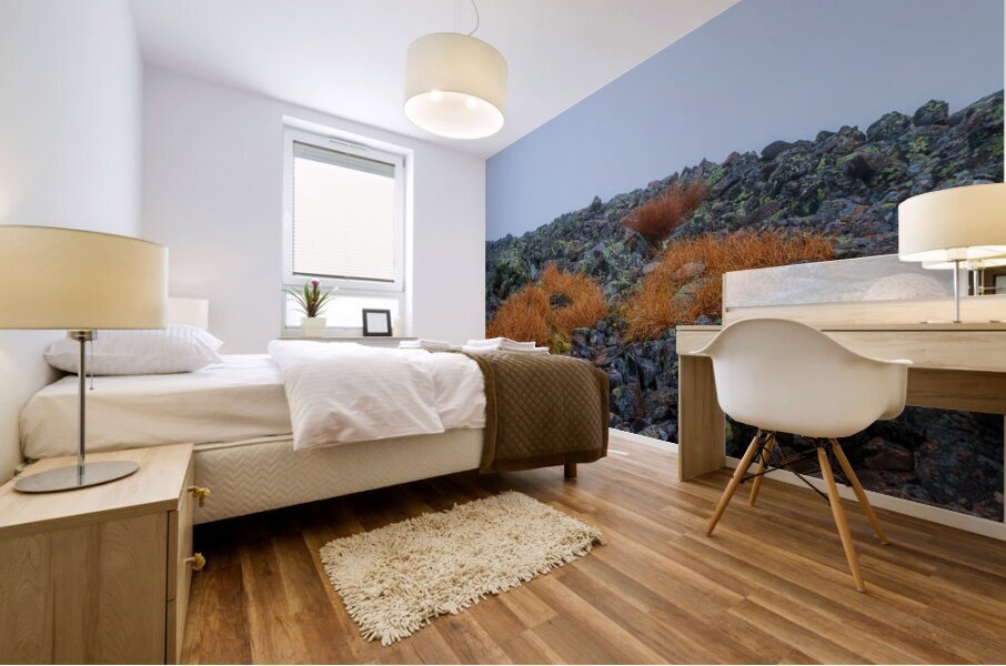 Vie au sommet Mural print