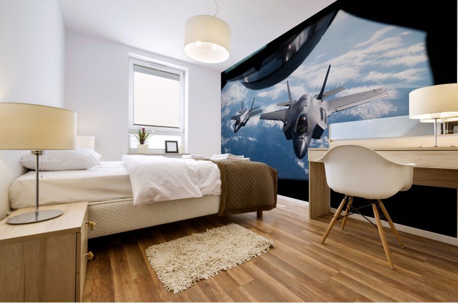 8722816 Mural print